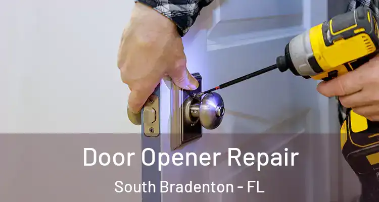  Door Opener Repair South Bradenton - FL